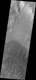 This image captured by NASA's 2001 Mars Odyssey spacecraft shows the western section of the large sand ridge on the floor of Russell Crater.