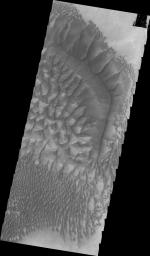 This image captured by NASA's 2001 Mars Odyssey spacecraft shows the central part of the dune field on the floor of Russell Crater.