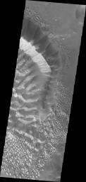 This image captured by NASA's 2001 Mars Odyssey spacecraft shows the central part of the dune field on the floor of Russell Crater, including the large dune ridge.