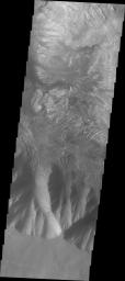 This image captured by NASA's 2001 Mars Odyssey spacecraft shows the part of the southern cliff face of Hebes Chasma at the bottom of the image.