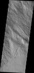 Looking again at the southeastern flank of Mars' Ascraeus Mons, the narrow nature of the flows are visible in this image captured by NASA's 2001 Mars Odyssey spacecraft.