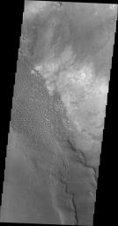 This image captured by NASA's 2001 Mars Odyssey spacecraft shows part of the Nili Patera dune field. Winds are blowing the dunes across a rough surface of regional volcanic lava flows.