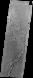 This image captured by NASA's 2001 Mars Odyssey spacecraft shows part of the dune field near Meroe Patera. The paterae are calderas on the volcanic complex called Syrtis Major Planum.
