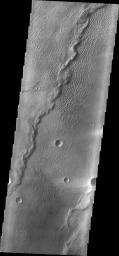 This image from NASA's 2001 Mars Odyssey spacecraft shows part of the dune field near Meroe Patera. Winds are blowing the dunes across a rough surface of regional volcanic lava flows.