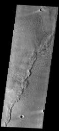 This image from NASA's 2001 Mars Odyssey spacecraft shows part of the dune field near Meroe Patera. The paterae are calderas on the volcanic complex called Syrtis Major Planum.