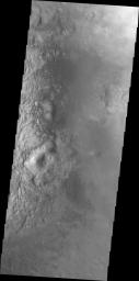 This image of Moreux Crater from NASA's 2001 Mars Odyssey spacecraft shows part of the central peak and fields of sand dunes on the crater floor surrounding the peak. This image illustrates the abundance of sand dunes located on the floor of the crater.