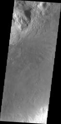 This image of Moreux Crater shows part of the multitude of sand dunes that are found on the floor of the crater. The central peak of the crater is at the top left corner of this image from NASA's 2001 Mars Odyssey spacecraft.