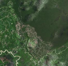 The southwestern border of Brunei with Sarawak, Malaysia is strikingly apparent due to differences in land use practice. This image from NASA's Terra spacecraft was acquired September 10, 2012.