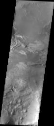 Melas Chasma is part of the largest canyon system on Mars, Valles Marineris. This image from NASA's 2001 Mars Odyssey spacecraft highlights the extent of layered materials within the canyon.