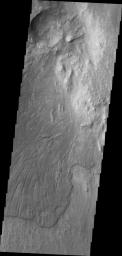 Melas Chasma is part of the largest canyon system on Mars, Valles Marineris. This image captured by NASA's 2001 Mars Odyssey spacecraft is located along the northern side of the chasma.