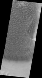 Dunes cover the majority of this image of Rabe Crater. This view captured by NASA's 2001 Mars Odyssey spacecraft shows the slip faces are illuminated more than the longer side.