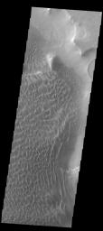 This image of Rabe Crater from NASA's 2001 Mars Odyssey spacecraft is dominated by the extensive dunes that cover the crater floor. Part of the pit is visible, as well as a small peninsula that has been eroded into the upper level floor materials.