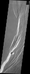 This image from NASA's 2001 Mars Odyssey spacecraft shows part of the eastern margin of the summit caldera of Arsia Mons. The arcuate features are the faults created by collapse of summit materials.