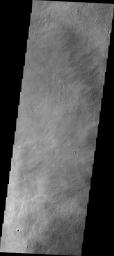 This image from NASA's 2001 Mars Odyssey spacecraft shows part of the caldera floor of Arsia Mons. It is not uncommon for calderas to have 'flat' floors after the final explosive eruption that empties the subsurface magma chamber.