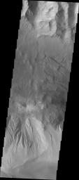 This image captured by NASA's 2001 Mars Odyssey spacecraft shows part of eastern Candor Chasma. At the top of the image is the steep cliff between the upper surface elevation and the depths of Candor Chasma.