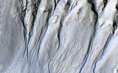 Intricate gullies have formed on the northern wall of this impact crater located in the Terra Cimmeria region in this image from NASA's Mars Reconnaissance Orbiter (MRO).