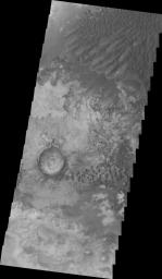 At the top of this image from NASA's 2001 Mars Odyssey spacecraft crescent shaped dunes are visible. As the dunes approach a break in elevation the forms change to connect the crescents together forming long aligned dune forms.