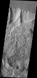 Tithonium Chasma has numerous large landslide deposits, as shown in this image from NASA's 2001 Mars Odyssey spacecraft. The resistant material of the plateau surface forms the linear ridges of the canyon wall.