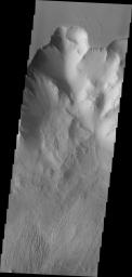 This image of Tithonium Chasma captured by NASA's 2001 Mars Odyssey spacecraft shows the canyon wall at the top of the frame, a series of landslide deposits in the middle, and an eroded mound of materials at the bottom.