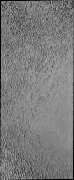 Olympia Undae is a vast dune field in the north polar region of Mars. The dune field covers an area of approximately 470,000 km2 (bigger than California, smaller than Texas). This image was captured by NASA's 2001 Mars Odyssey spacecraft.