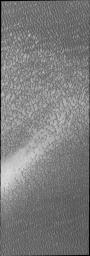 This image from NASA's 2001 Mars Odyssey spacecraft highlights the dune form/dune density aspects of Olypmia Undae. In the center there is a brighter, diagonal region of few dunes.