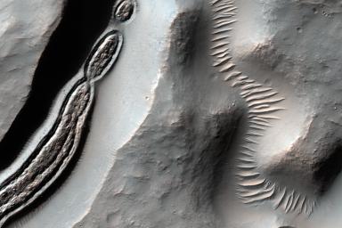 This image from NASA's Mars Reconnaissance Orbiter is a close-up of a trough, along with channels draining into the depression. On the floor of the trough is some grooved material typically seen in middle latitude regions where there has been glacial flow