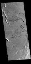 This field of small dark craters captured by NASA's 2001 Mars Odyssey spacecraft is located in southern Elysium Planitia. The dark appearance against the surrounding lava flows suggests that the craters post-date the lava flows.