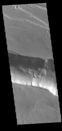 A landslide deposit is visible in this image of Coprates Catena. Coprates Catena parallels the much larger Coprates Chasma; both are part of Valles Marineris. This image was captured by NASA's 2001 Mars Odyssey spacecraft.