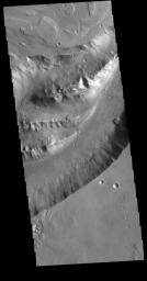 This image from NASA's Mars Odyssey shows a section of Shalbatana Vallis. Shalbatana Vallis is one of many channels that empty into Chryse Planitia.
