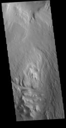 This image from NASA's Mars Odyssey shows linear ridges, the result of wind action eroding the material of a layered deposit.
