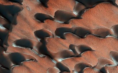 NASA's Mars Reconnaissance Orbiter observed sand dunes in the north polar regions of Mars showing light coatings of pale orange dust blown partially across the dark basaltic sand. Around the edges of the dunes, patches of seasonal dry ice remain.