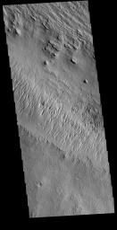 This image from NASA's Mars Odyssey shows the equatorial region between Olympus Mons and Apollinaris Mons, dominated by wind etched regions of the ridges and valleys.