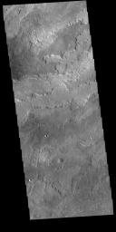 This image from NASA's Mars Odyssey shows the lava flows originating at Arsia Mons. Arsia Mons in the southermost of the three large Tharsis volcanoes.