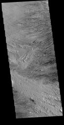 This image from NASA's Mars Odyssey is located near Zephyria Planum. Winds of two different directions have excavated a poorly cemented surface into linear ridge features called yardangs.