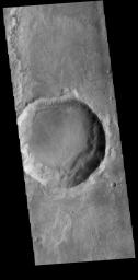 This image from NASA's Mars Odyssey shows numerous gullies dissecting the northern rim of this unnamed crater in Terra Sirenum.