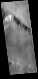 This image from NASA's Mars Odyssey shows multiple gullies dissecting the rim of this unnamed crater in Terra Cimmeria.