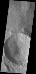 This image from NASA's Mars Odyssey shows an unnamed crater located in Aonia Terra. Numerous gullies dissect the inner crater rim.