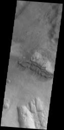 This image from NASA's Mars Odyssey shows a group of sand dunes.