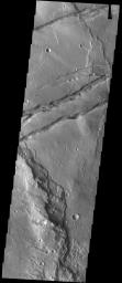 This image from NASA's Mars Odyssey shows linear features called graben. Graben are formed when blocks of material move downward between parallel faults.