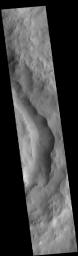This image from NASA's Mars Odyssey shows part of the eastern side of Maunder Crater.