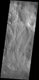 This image from NASA's Mars Odyssey shows part of the inner rim of Kaiser Crater. The rim has been dissected by numerous gullies. Kaiser Crater is located in Noachis Terra.