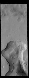 This image from NASA's Mars Odyssey shows a ring of gullies encircling the top of the depression in this crater. This unnamed crater is located in southern Noachis Terra.