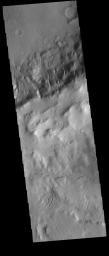 This image from NASA's Mars Odyssey shows multiple gullies dissecting the rim of an unnamed crater located in Terra Sirenum.