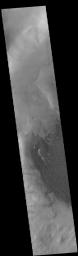 This image from NASA's Mars Odyssey shows part of the floor of Rabe Crater. The floor of Rabe Crater has undergone several surface changing events.