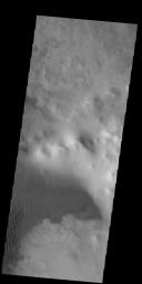 This image from NASA's Mars Odyssey shows sand dunes covering part of the floor of this unnamed crater in Terra Cimmeria.