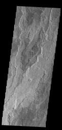 This image from NASA's Mars Odyssey shows a small portion of Daedalia Planum. The lava flows in this image originated at Arsia Mons.
