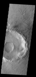 This image from NASA's Mars Odyssey shows Gasa Crater located on the floor of a larger unnamed crater Eridania Planitia.