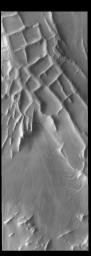 This image from NASA's Mars Odyssey shows Angustus Labyrinthus. The squares formed by intersecting ridges have given the feature the informal name of Inca City.