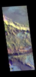 This image from NASA's Mars Odyssey shows part of Mangala Fossa.