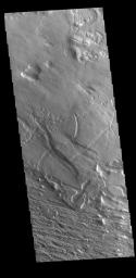 This image from NASA's Mars Odyssey shows an area near Gordii Dorsum has been eroded for millions of years. Long term unidirectional winds scour the surface into linear patterns.